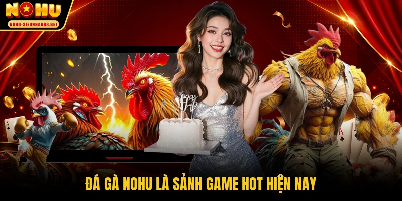 Đá gà NOHU là sảnh game hot hiện nay