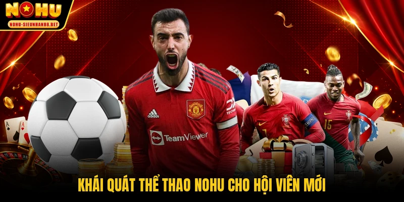 Khái quát thể thao NOHU cho hội viên mới